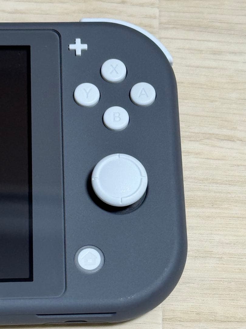 Nintendo Switch Lite グレー 本体 sdカード&ケース付き