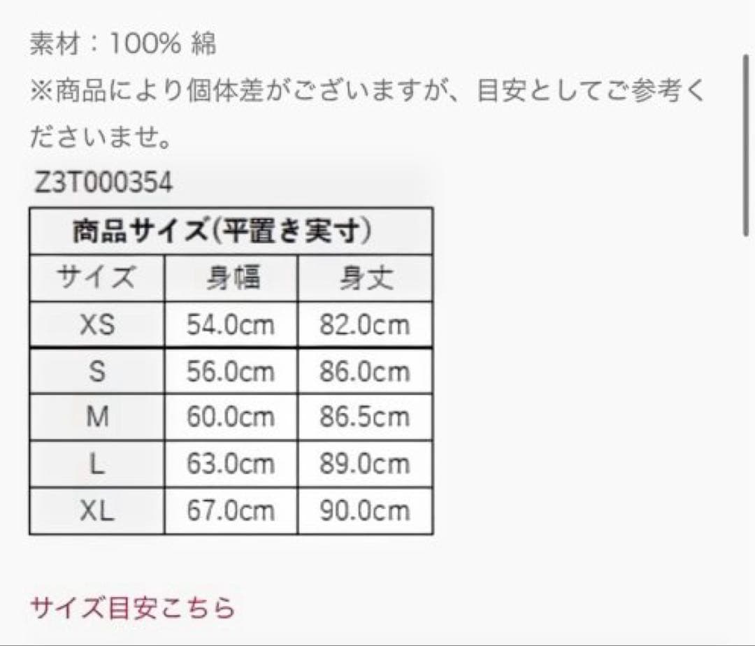 【正規品】ZUMBA カラフルロゴ Tシャツ Mサイズ