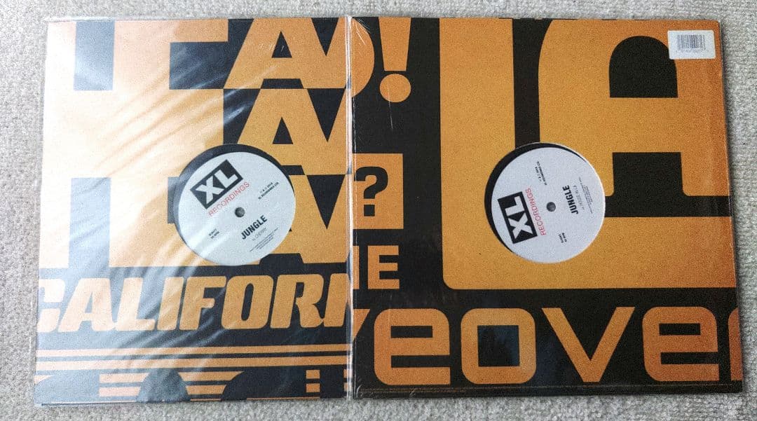 Jungle レコード2枚