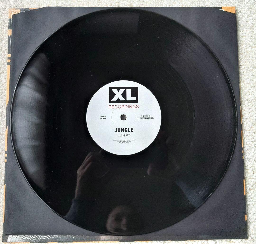 Jungle レコード2枚