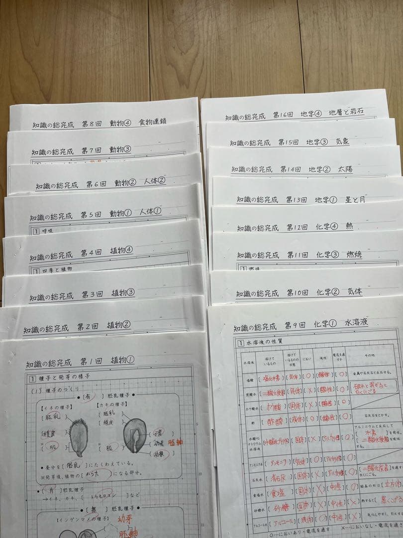 SAPIX 6年理科WS01〜36 知識の20/50題、知識の総、コア確認テスト