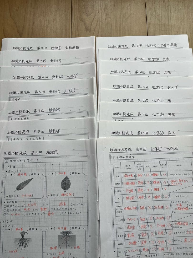 SAPIX 6年理科WS01〜36 知識の20/50題、知識の総、コア確認テスト