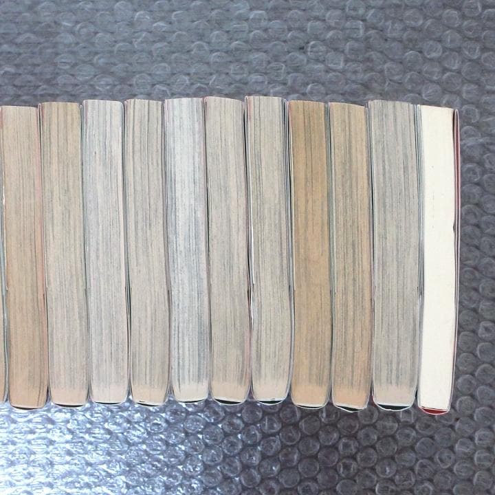 【あいこ】桜蘭高校ホスト部 全18巻 ＋ 小説版 セット