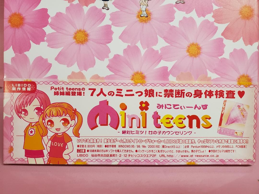 プチティーンズ　CG&原画集