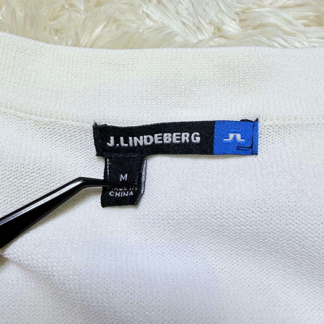 【美品】ジェイリンドバーグ Vネックニット セーター ゴルフウェア メンズ M