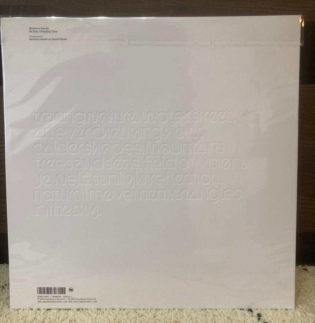 洋楽 Matthew Halsall - An Ever Changing View