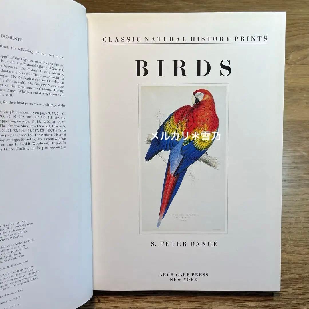 アート・デザイン・音楽 CLASSIC NATURAL HISTORY PRINTS BIRDS