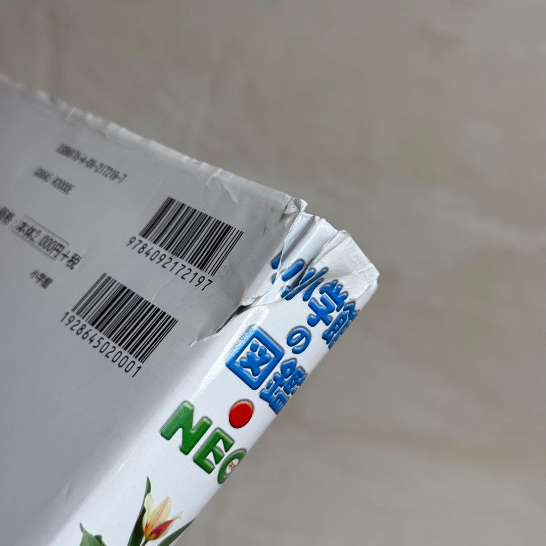 【良品・カバーあり】小学館の図鑑NEO 全巻20冊セット