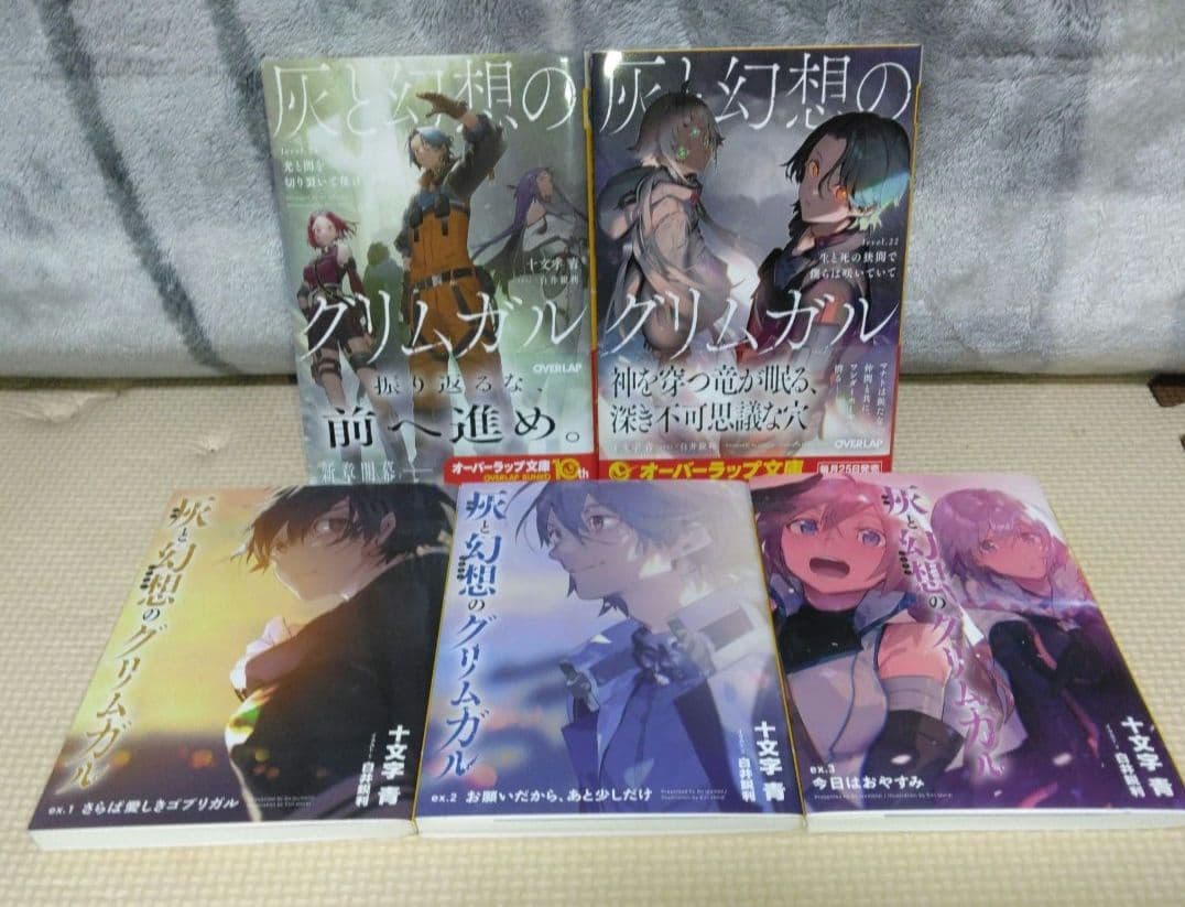 灰と幻想のグリムガル　1〜22巻と14+、14++とおまけ3冊