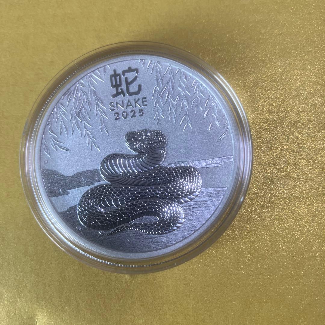2025年 蛇 デザイン 銀貨 1oz