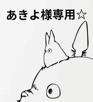 『あきよ☆オーダーページ』ゴルフ☆コンペ☆景品☆ボールケース☆