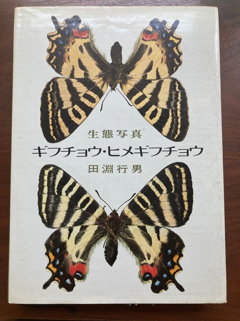 ギフチョウ・ヒメギフチョウ　田淵行男　講談社　生態写真　蝶　写真集