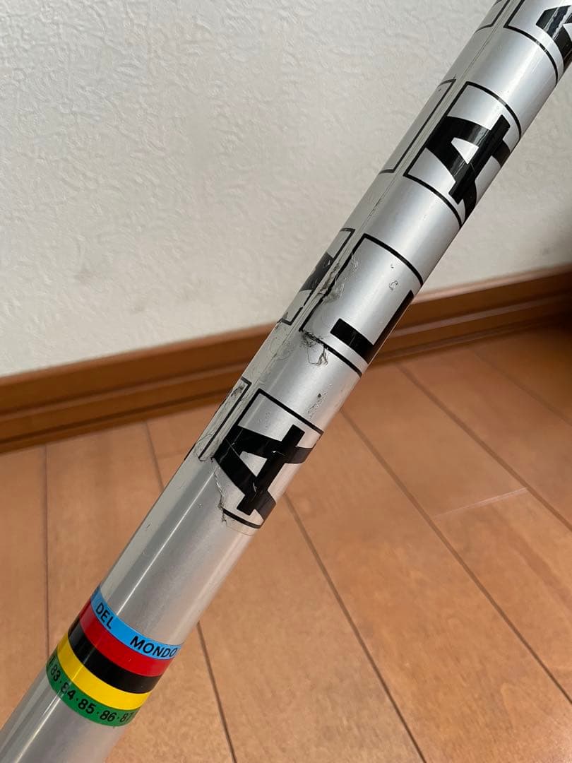 ALANシクロクロスフレームビンテージ